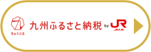 九州ふるさと納税